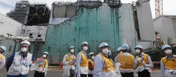 Fukuşima Daiiçi Nükleer Santrali - Sputnik Türkiye