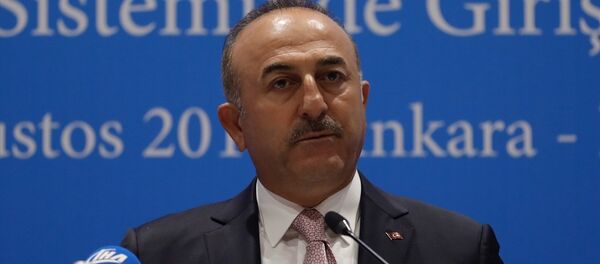 Mevlüt Çavuşoğlu - Sputnik Türkiye