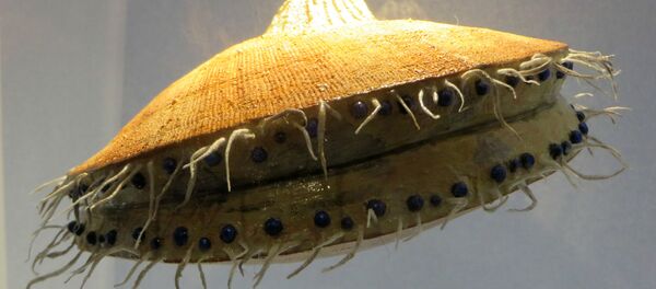 Seyahatlerde rastlanabilen en tuhaf ve korkutucu canlılar - Sputnik Türkiye