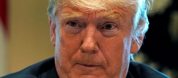 Donald Trump - Sputnik Türkiye