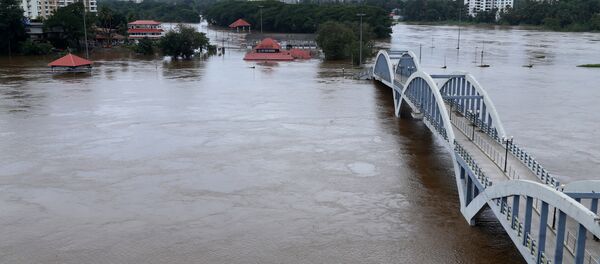 Hindistan - muson yağmurları - Sputnik Türkiye