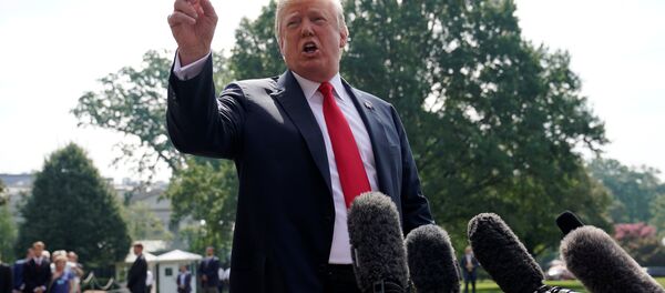 Donald Trump - Sputnik Türkiye