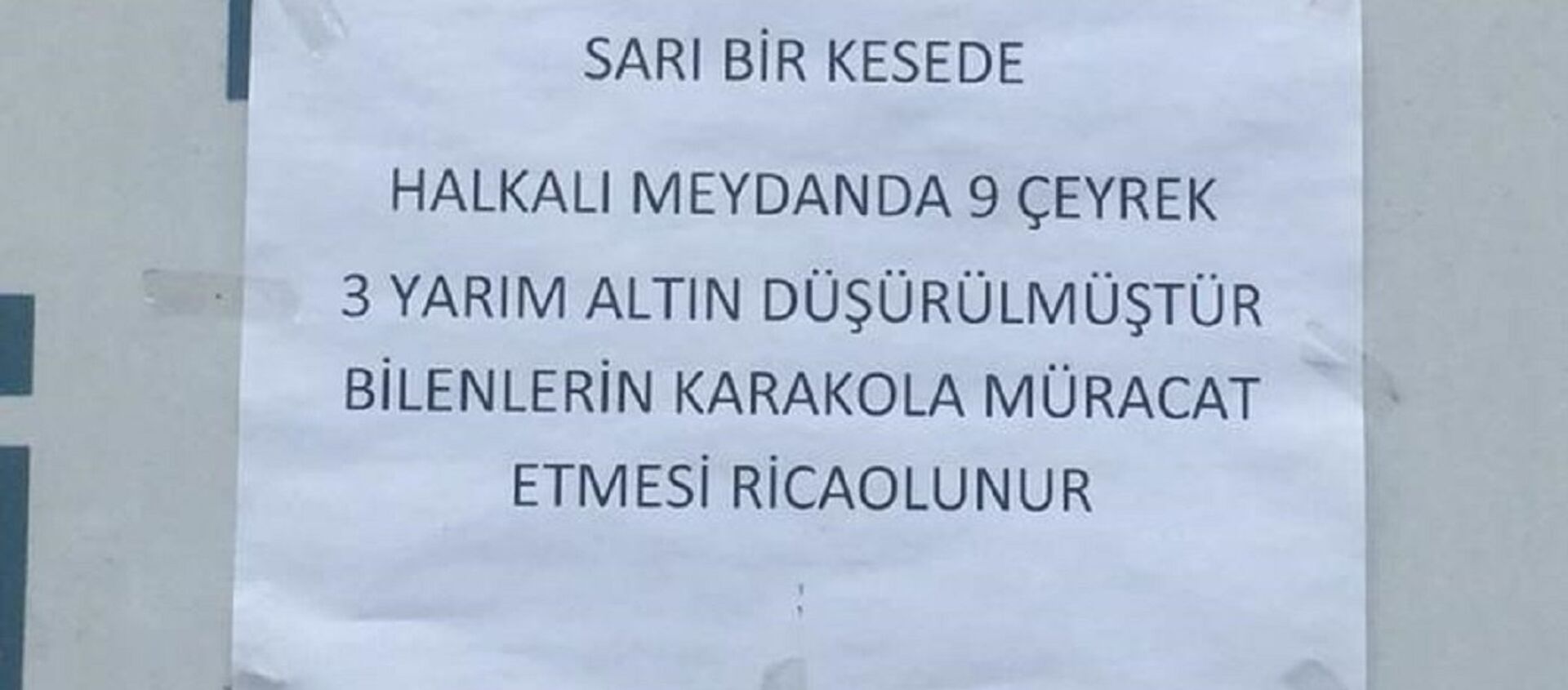 kayıp ilanı - Sputnik Türkiye, 1920, 19.08.2018