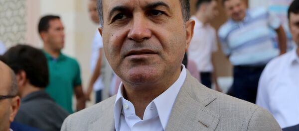 AK Parti Sözcüsü Ömer Çelik - Sputnik Türkiye