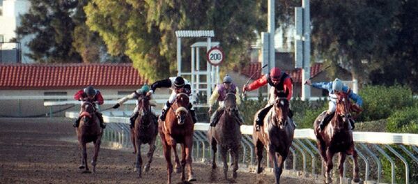 hipodrom, at - Sputnik Türkiye