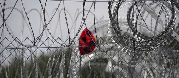 Macaristan- Sırbistan- Sığınmacı - Sputnik Türkiye