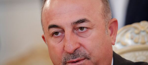 Dışişleri Bakanı Mevlüt Çavuşoğlu - Sputnik Türkiye