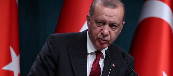 Cumhurbaşkanı Recep Tayyip Erdoğan - Sputnik Türkiye