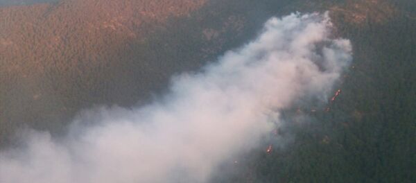 Hatay'ın Antakya ilçesinde çıkan orman yangını havadan ve karadan yapılan müdahaleyle kontrol altına alınmaya çalışılıyor. - Sputnik Türkiye