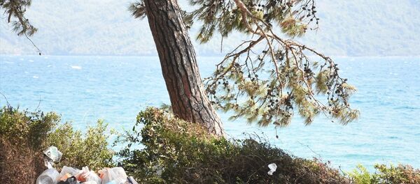 Kurban Bayramı tatilini Muğla'daki Akyaka Mahallesi'nde ormanlık alanda çadır ve karavanlarında geçirenlerin bıraktığı çöpler, tepkiye neden oldu. Kurban Bayramı tatilini Muğla'daki Akyaka Mahallesi'nde ormanlık alanda çadır ve karavanlarında geçirenlerin bıraktığı çöpler, tepkiye neden oldu. - Sputnik Türkiye