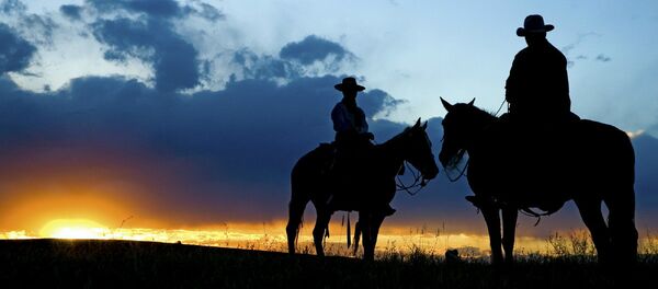 Cowboy silhouette - Sputnik Türkiye