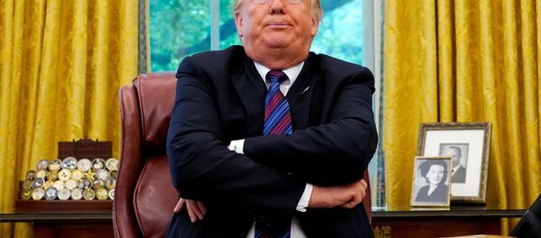 ABD Başkanı Donald Trump - Sputnik Türkiye