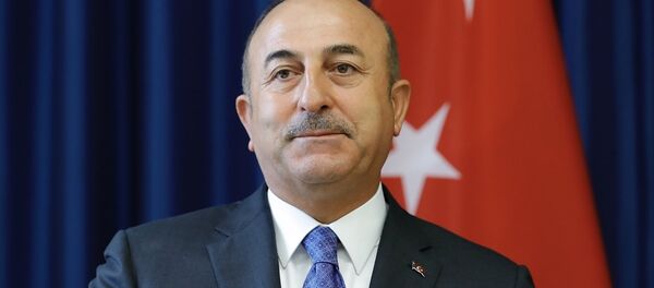 Dışişleri Bakanı Mevlüt Çavuşoğlu - Sputnik Türkiye