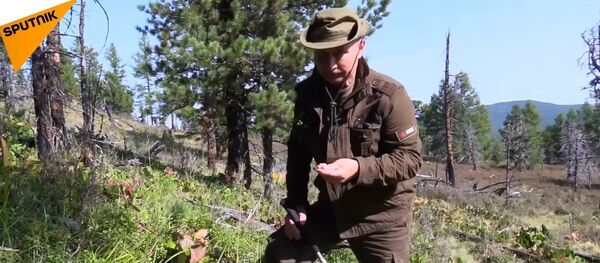 Putin tatil için yine Tuva'ya gitti - Sputnik Türkiye