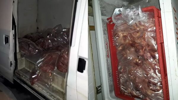 Mersin'de 1,5 ton kokmuş tavuk eti ele geçirildi - Sputnik Türkiye