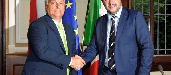 Orban ile Salvini - Sputnik Türkiye
