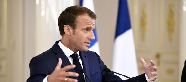 Fransa Cumhurbaşkanı Emmanuel Macron-Helsinki - Sputnik Türkiye