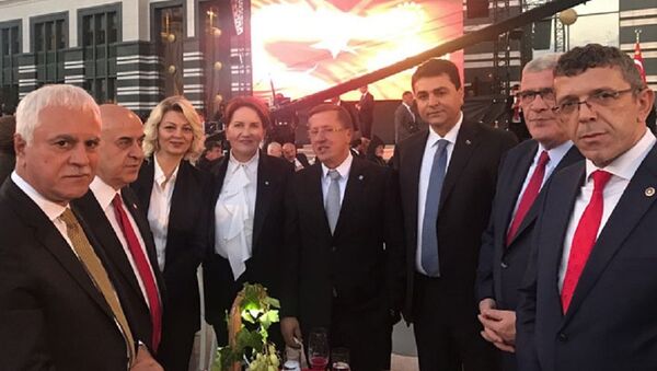 Akşener, İYİ Parti - Sputnik Türkiye