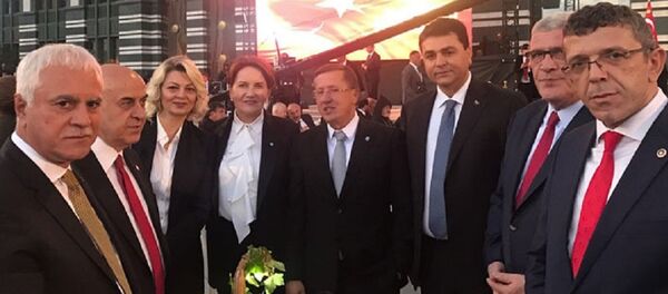 Akşener, İYİ Parti - Sputnik Türkiye