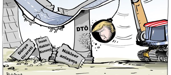 Karikatür - Sputnik Türkiye