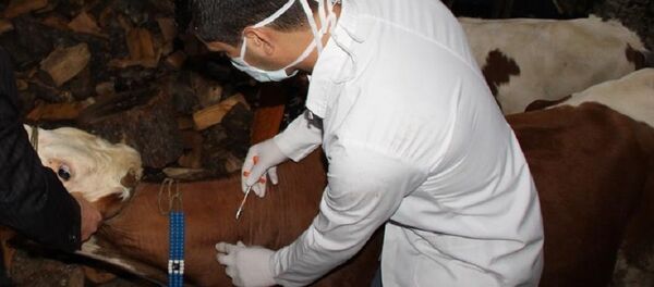 şarbon, aşılama şarbon, aşılama - Sputnik Türkiye