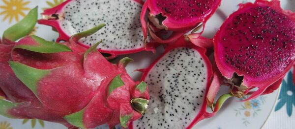 Ejderha meyvesi - Sputnik Türkiye