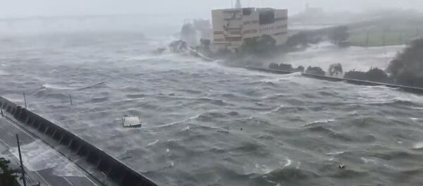 Japonya'da Jebi tayfunu hayatı felç etti - Sputnik Türkiye