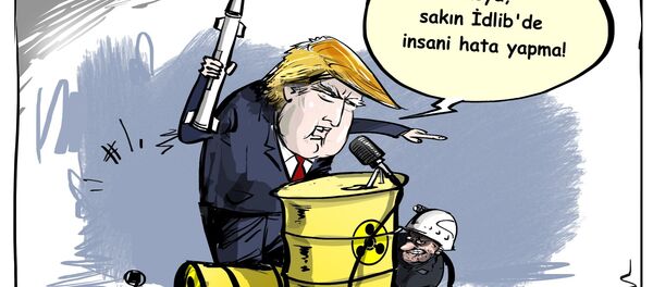 Karikatür - Sputnik Türkiye