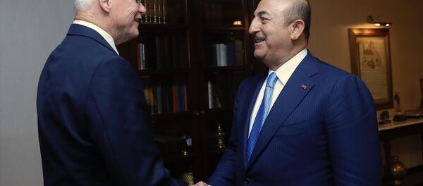 Dışişleri Bakanı Mevlüt Çavuşoğlu, ABD Dışişleri Bakanı Mike Pompeo'nun Suriye'yle Angajmandan Sorumlu Özel Temsilcisi James Jeffrey'i kabul etti. - Sputnik Türkiye