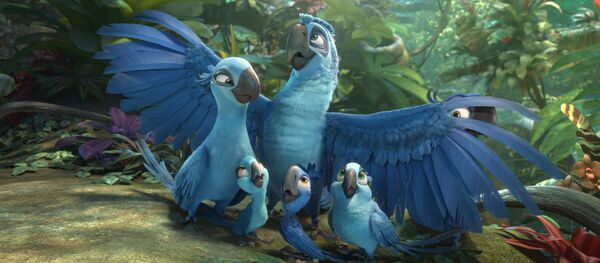 Brezilya'ya özgü soyu tükenen parlak mavi makav türünü 'Rio' çizgi filmi tüm dünyaya sevdirmişti. - Sputnik Türkiye
