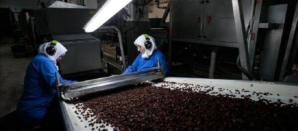 kuru üzüm - Sputnik Türkiye