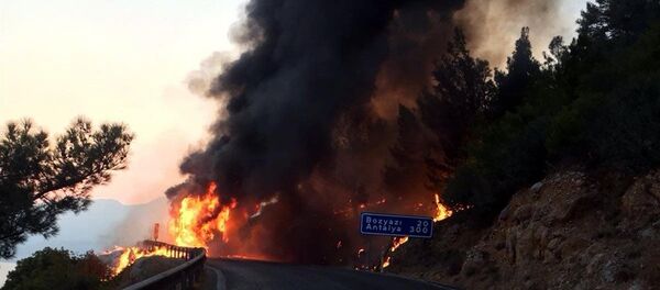 Hareket halindeki otobüste başlayan yangın ormanlık alana sıçradı - Sputnik Türkiye