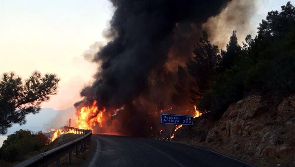 Hareket halindeki otobüste başlayan yangın ormanlık alana sıçradı - Sputnik Türkiye