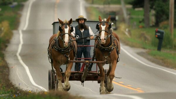 An Amish man drives his team of work horses down a road in Burton Township, Ohio - Sputnik Türkiye