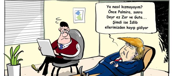 Karikatür - Sputnik Türkiye