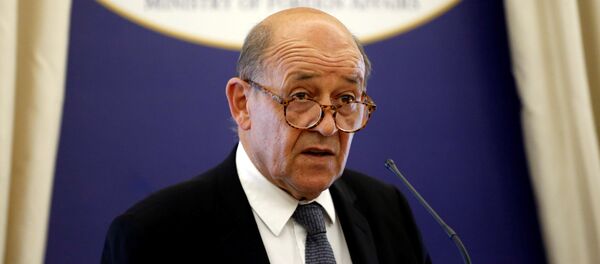 Fransa Dışişleri Bakanı Jean-Yves Le Drian - Sputnik Türkiye