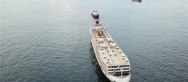 Şarbon iddialarıyla gündeme gelen gemi Türkiye'den ayrıldı - Sputnik Türkiye