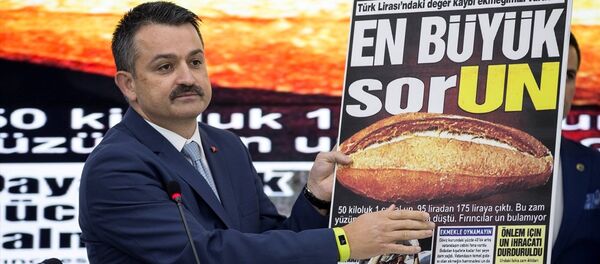 Bekir Pakdemirli - Sputnik Türkiye