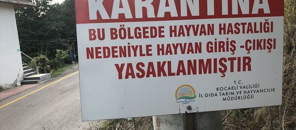 Şarbon- Gölcük Şarbon- Gölcük - Sputnik Türkiye