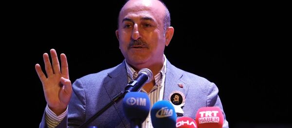 Dışişleri Bakanı Mevlüt Çavuşoğlu - Sputnik Türkiye
