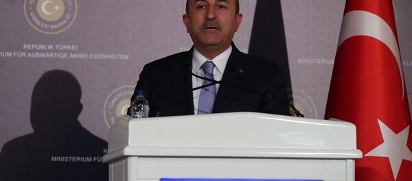 Mevlüt Çavuşoğlu - Sputnik Türkiye