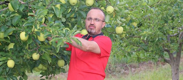 AK Parti Grup Başkanvekili ve Çanakkale Milletvekili Bülent Turan - Sputnik Türkiye