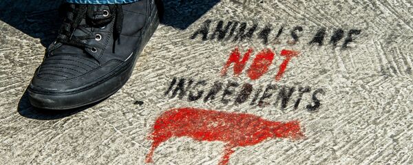 'Hayvanlar içerik maddesi değildir' diyen bir Vegan slogan - Sputnik Türkiye