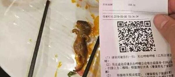 Çin'de, 'çorbadan çıkan fare ölüsü' skandal yarattı: Kusacak gibi hissediyorum - Sputnik Türkiye