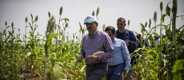 Tarım ve Orman Bakanı Bekir Pakdemirli Sudan'da - Sputnik Türkiye