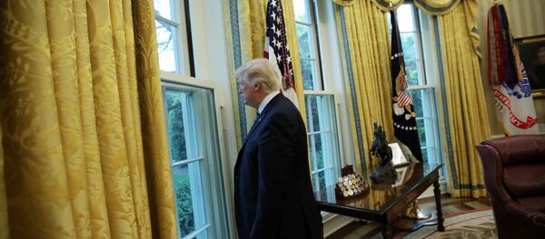 ABD Başkanı Donald Trump - Sputnik Türkiye