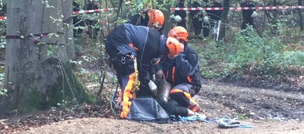Almanya'da polis, Köln kenti yakınlarında bulunan Hambach Ormanı'ndaki ağaçların linyit madeni için kesilmesini engellemek amacıyla kamp kuran çevrecilere karşı operasyon başlattı. - Sputnik Türkiye