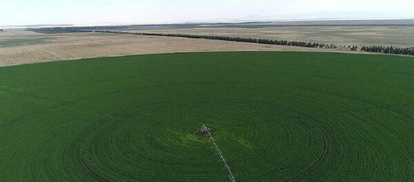 Hazine, tarım, arazi - Sputnik Türkiye