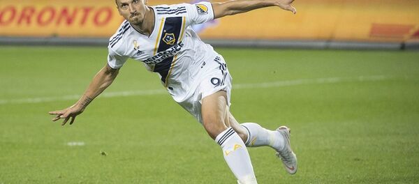 Zlatan Ibrahimovic - Sputnik Türkiye