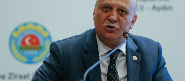 Şemsi Bayraktar - Sputnik Türkiye